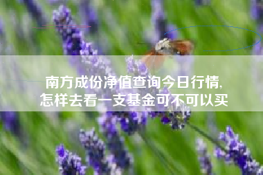 南方成份净值查询今日行情,
怎样去看一支基金可不可以买 南方成份净值查询今日行情,
怎样去看一支基金可不可以买