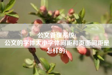 公文管理系统(
公文的字体大小字体间距和页面间距是怎样的) 公文管理系统(
公文的字体大小字体间距和页面间距是怎样的)