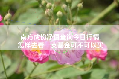 南方成份净值查询今日行情,
怎样去看一支基金可不可以买 南方成份净值查询今日行情,
怎样去看一支基金可不可以买