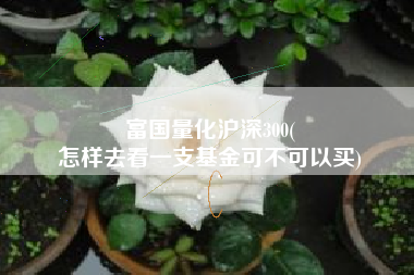 富国量化沪深300(
怎样去看一支基金可不可以买) 富国量化沪深300(
怎样去看一支基金可不可以买)