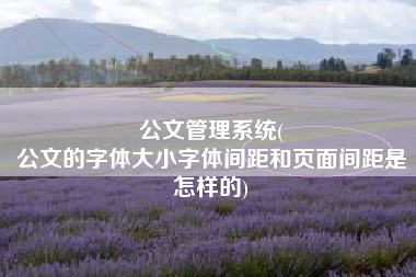 公文管理系统(
公文的字体大小字体间距和页面间距是怎样的) 公文管理系统(
公文的字体大小字体间距和页面间距是怎样的)