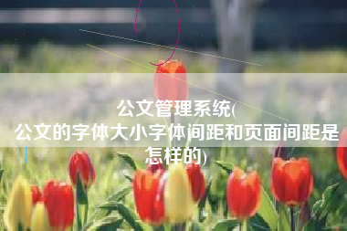 公文管理系统(
公文的字体大小字体间距和页面间距是怎样的) 公文管理系统(
公文的字体大小字体间距和页面间距是怎样的)