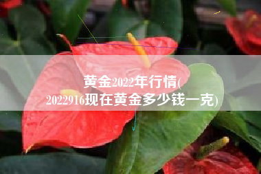 黄金2022年行情(
2022916现在黄金多少钱一克) 黄金2022年行情(
2022916现在黄金多少钱一克)