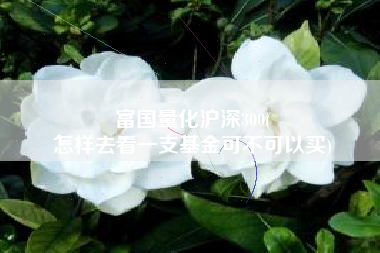 富国量化沪深300(
怎样去看一支基金可不可以买) 富国量化沪深300(
怎样去看一支基金可不可以买)