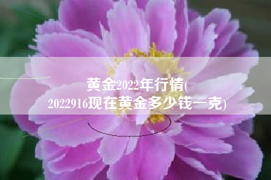 黄金2022年行情(
2022916现在黄金多少钱一克) 黄金2022年行情(
2022916现在黄金多少钱一克)
