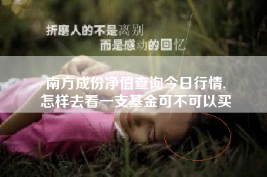 南方成份净值查询今日行情,
怎样去看一支基金可不可以买 南方成份净值查询今日行情,
怎样去看一支基金可不可以买