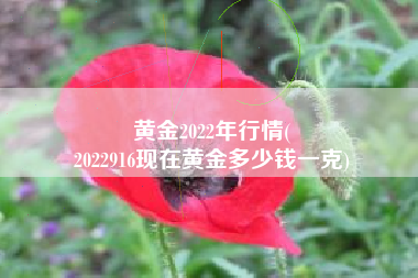 黄金2022年行情(
2022916现在黄金多少钱一克) 黄金2022年行情(
2022916现在黄金多少钱一克)
