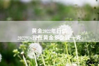 黄金2022年行情(
2022916现在黄金多少钱一克) 黄金2022年行情(
2022916现在黄金多少钱一克)