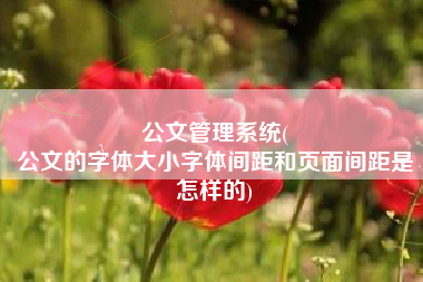 公文管理系统(
公文的字体大小字体间距和页面间距是怎样的) 公文管理系统(
公文的字体大小字体间距和页面间距是怎样的)