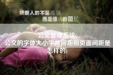 公文管理系统(
公文的字体大小字体间距和页面间距是怎样的) 公文管理系统(
公文的字体大小字体间距和页面间距是怎样的)