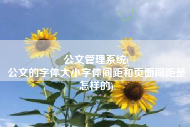 公文管理系统(
公文的字体大小字体间距和页面间距是怎样的) 公文管理系统(
公文的字体大小字体间距和页面间距是怎样的)