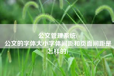 公文管理系统(
公文的字体大小字体间距和页面间距是怎样的) 公文管理系统(
公文的字体大小字体间距和页面间距是怎样的)