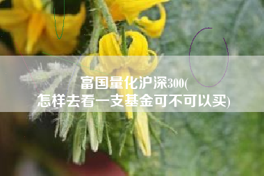 富国量化沪深300(
怎样去看一支基金可不可以买) 富国量化沪深300(
怎样去看一支基金可不可以买)