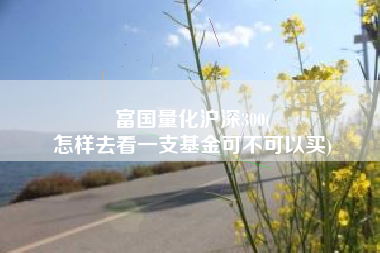 富国量化沪深300(
怎样去看一支基金可不可以买) 富国量化沪深300(
怎样去看一支基金可不可以买)