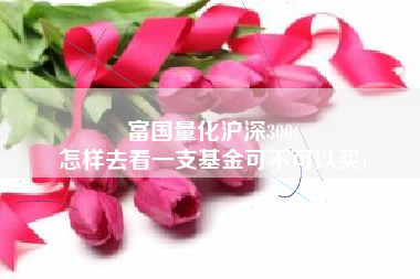 富国量化沪深300(
怎样去看一支基金可不可以买) 富国量化沪深300(
怎样去看一支基金可不可以买)