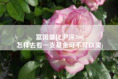 富国量化沪深300(
怎样去看一支基金可不可以买) 富国量化沪深300(
怎样去看一支基金可不可以买)