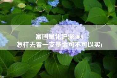 富国量化沪深300(
怎样去看一支基金可不可以买) 富国量化沪深300(
怎样去看一支基金可不可以买)