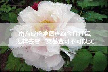南方成份净值查询今日行情,
怎样去看一支基金可不可以买 南方成份净值查询今日行情,
怎样去看一支基金可不可以买