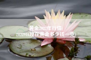 黄金2022年行情(
2022916现在黄金多少钱一克) 黄金2022年行情(
2022916现在黄金多少钱一克)