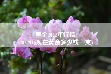 黄金2022年行情(
2022916现在黄金多少钱一克) 黄金2022年行情(
2022916现在黄金多少钱一克)