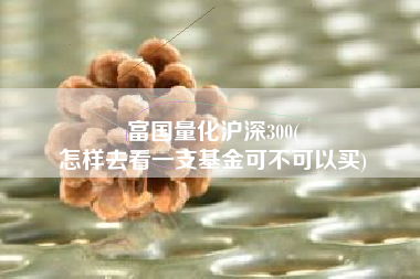 富国量化沪深300(
怎样去看一支基金可不可以买) 富国量化沪深300(
怎样去看一支基金可不可以买)