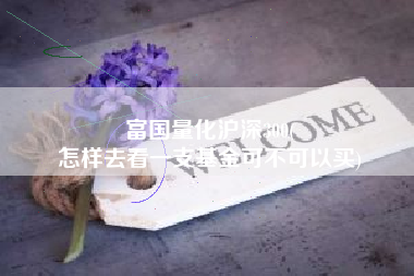 富国量化沪深300(
怎样去看一支基金可不可以买) 富国量化沪深300(
怎样去看一支基金可不可以买)