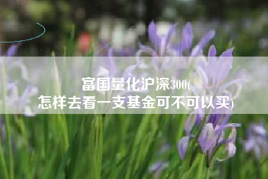 富国量化沪深300(
怎样去看一支基金可不可以买) 富国量化沪深300(
怎样去看一支基金可不可以买)