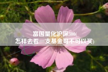 富国量化沪深300(
怎样去看一支基金可不可以买) 富国量化沪深300(
怎样去看一支基金可不可以买)