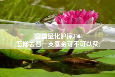 富国量化沪深300(
怎样去看一支基金可不可以买) 富国量化沪深300(
怎样去看一支基金可不可以买)