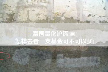 富国量化沪深300(
怎样去看一支基金可不可以买) 富国量化沪深300(
怎样去看一支基金可不可以买)