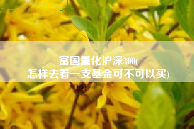 富国量化沪深300(
怎样去看一支基金可不可以买) 富国量化沪深300(
怎样去看一支基金可不可以买)