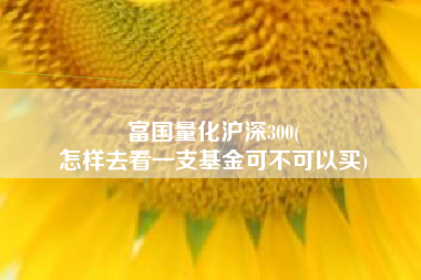 富国量化沪深300(
怎样去看一支基金可不可以买) 富国量化沪深300(
怎样去看一支基金可不可以买)