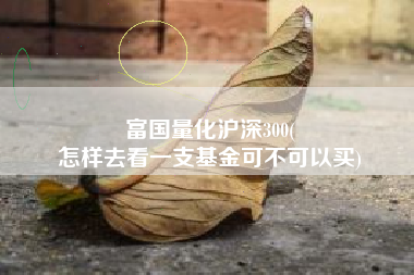 富国量化沪深300(
怎样去看一支基金可不可以买) 富国量化沪深300(
怎样去看一支基金可不可以买)