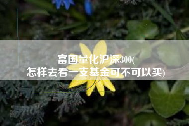 富国量化沪深300(
怎样去看一支基金可不可以买) 富国量化沪深300(
怎样去看一支基金可不可以买)