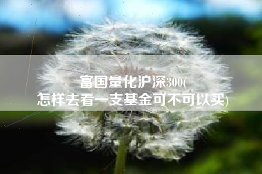富国量化沪深300(
怎样去看一支基金可不可以买) 富国量化沪深300(
怎样去看一支基金可不可以买)