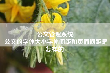 公文管理系统(
公文的字体大小字体间距和页面间距是怎样的) 公文管理系统(
公文的字体大小字体间距和页面间距是怎样的)