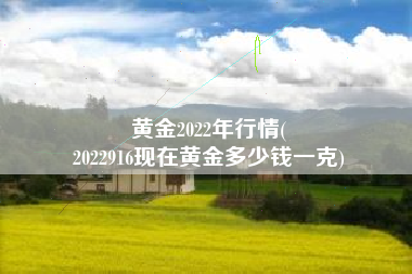 黄金2022年行情(
2022916现在黄金多少钱一克) 黄金2022年行情(
2022916现在黄金多少钱一克)