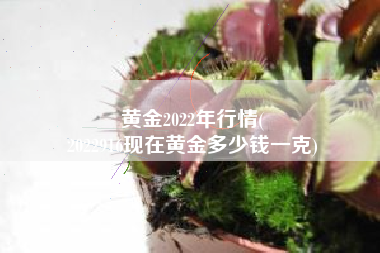 黄金2022年行情(
2022916现在黄金多少钱一克) 黄金2022年行情(
2022916现在黄金多少钱一克)