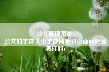 公文管理系统(
公文的字体大小字体间距和页面间距是怎样的) 公文管理系统(
公文的字体大小字体间距和页面间距是怎样的)
