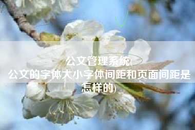公文管理系统(
公文的字体大小字体间距和页面间距是怎样的) 公文管理系统(
公文的字体大小字体间距和页面间距是怎样的)