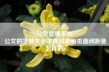 公文管理系统(
公文的字体大小字体间距和页面间距是怎样的) 公文管理系统(
公文的字体大小字体间距和页面间距是怎样的)
