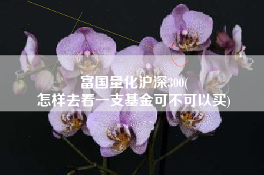 富国量化沪深300(
怎样去看一支基金可不可以买) 富国量化沪深300(
怎样去看一支基金可不可以买)