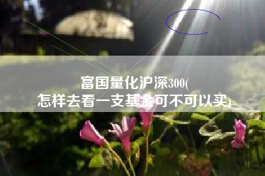 富国量化沪深300(
怎样去看一支基金可不可以买) 富国量化沪深300(
怎样去看一支基金可不可以买)
