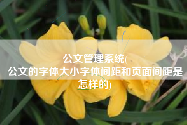 公文管理系统(
公文的字体大小字体间距和页面间距是怎样的) 公文管理系统(
公文的字体大小字体间距和页面间距是怎样的)