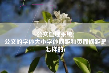 公文管理系统(
公文的字体大小字体间距和页面间距是怎样的) 公文管理系统(
公文的字体大小字体间距和页面间距是怎样的)