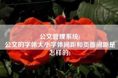 公文管理系统(
公文的字体大小字体间距和页面间距是怎样的) 公文管理系统(
公文的字体大小字体间距和页面间距是怎样的)