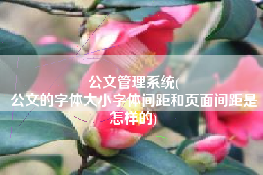 公文管理系统(
公文的字体大小字体间距和页面间距是怎样的) 公文管理系统(
公文的字体大小字体间距和页面间距是怎样的)