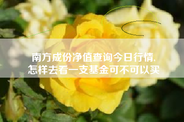 南方成份净值查询今日行情,
怎样去看一支基金可不可以买 南方成份净值查询今日行情,
怎样去看一支基金可不可以买