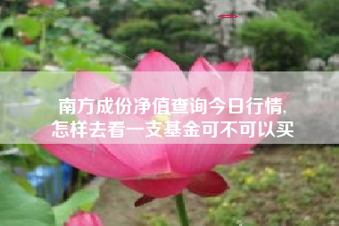 南方成份净值查询今日行情,
怎样去看一支基金可不可以买 南方成份净值查询今日行情,
怎样去看一支基金可不可以买