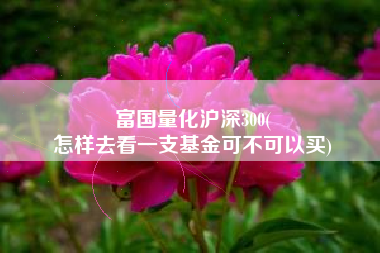 富国量化沪深300(
怎样去看一支基金可不可以买) 富国量化沪深300(
怎样去看一支基金可不可以买)